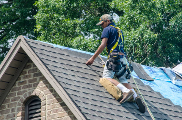 Best Roof Leak Repair  in Vinton, VA